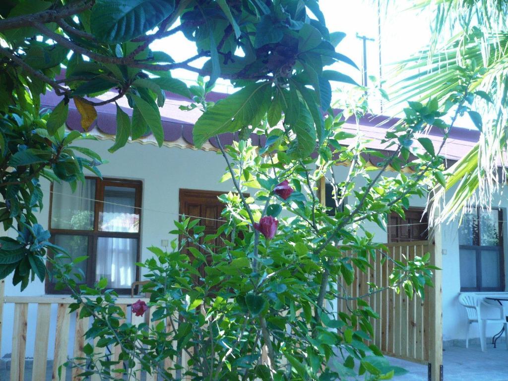 Kiyi Pansiyon Cirali Exterior photo